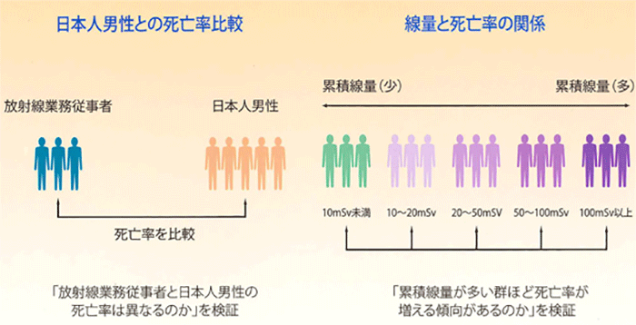 日本人男性との死亡率比較・線量と死亡の関係性