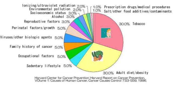 causeofcancer_eng